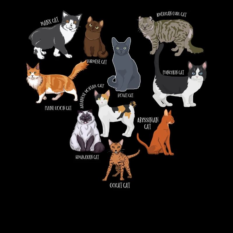 Espèces de chats, chats, chatons