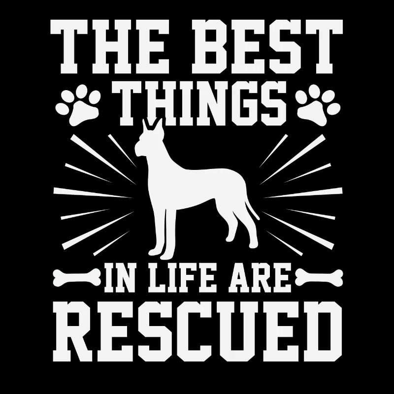 Refugio de animales Perro Salvar Protección Animal Refugio para Perros