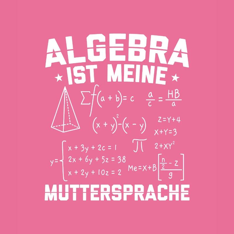 Geschenkidee Mathematiker | Mathe Mathematik