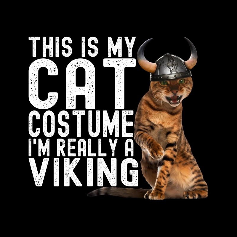 Chat Viking