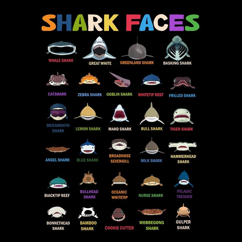 Types de visages de requins. Identification du visage du requin