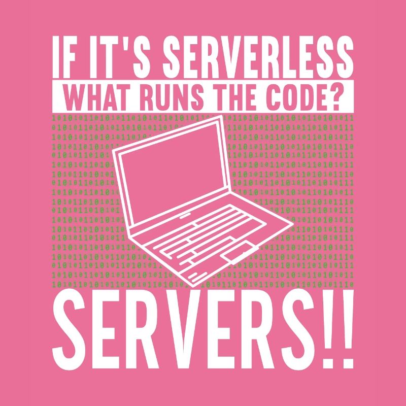 Programmer Computer Scientist