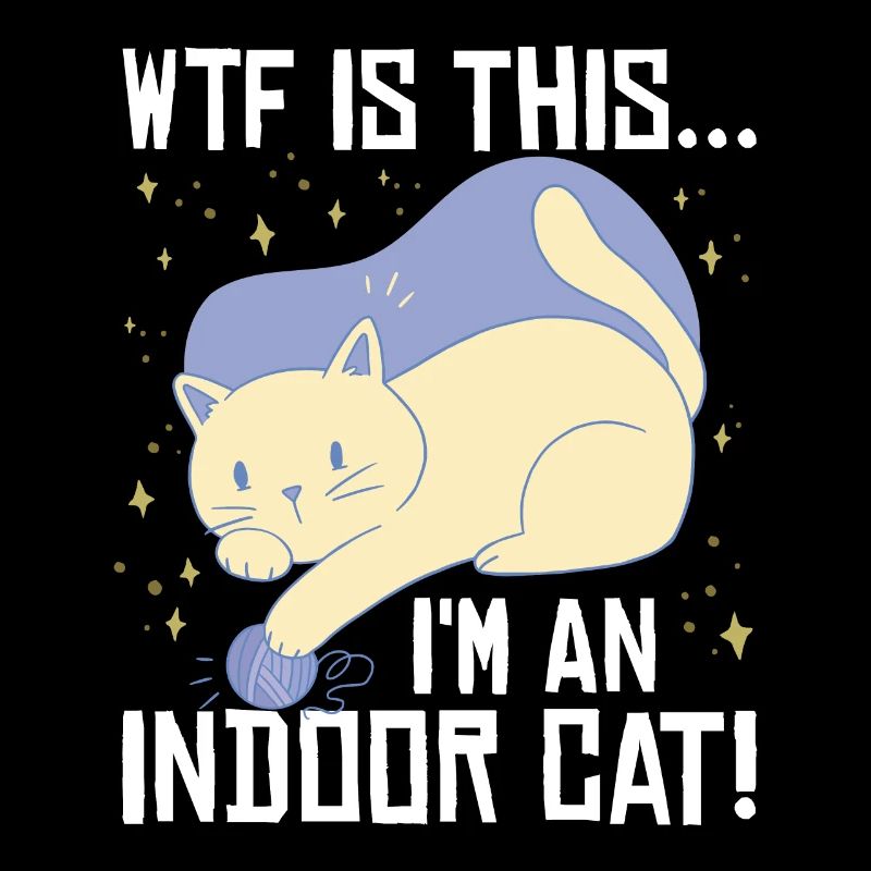 Je suis un chat d’intérieur