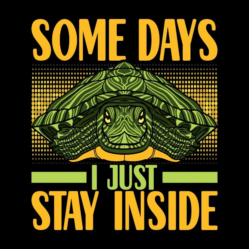 Turtle Turtle Aquatic turtle