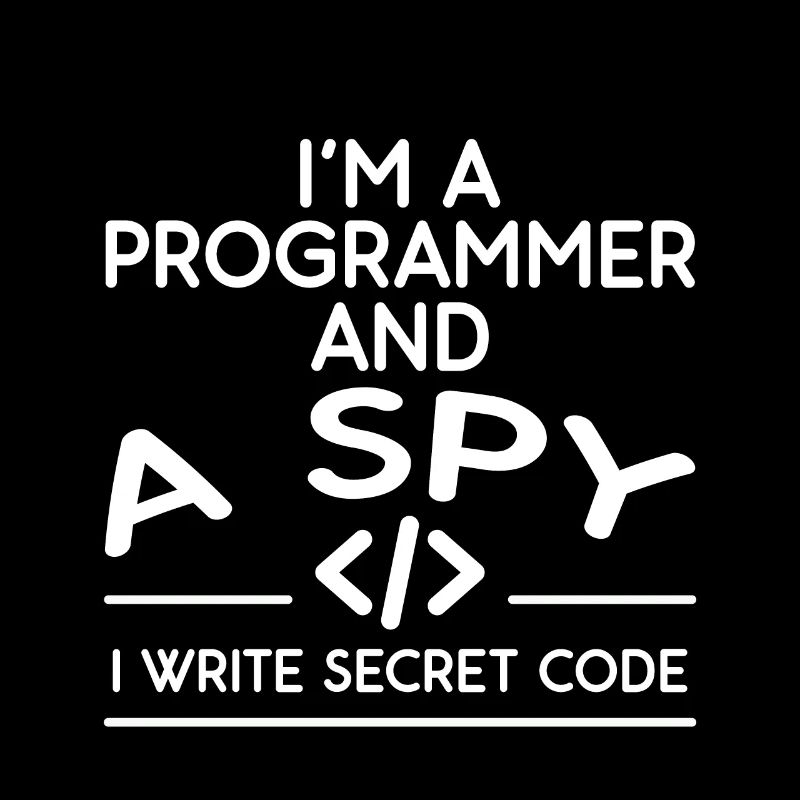 I'm A Programmer And A Spy, I Write Secret Code 4