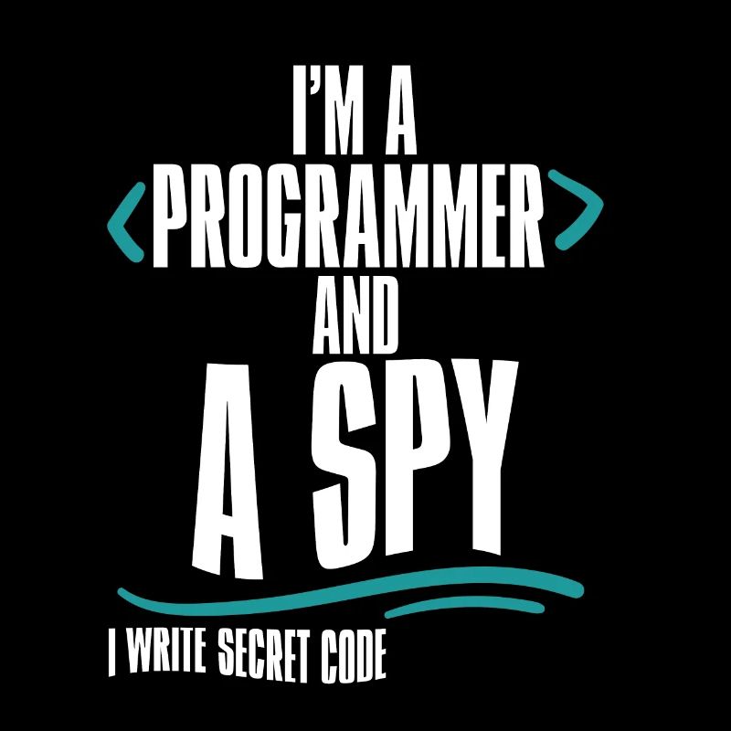 I'm A Programmer And A Spy, I Write Secret Code 2
