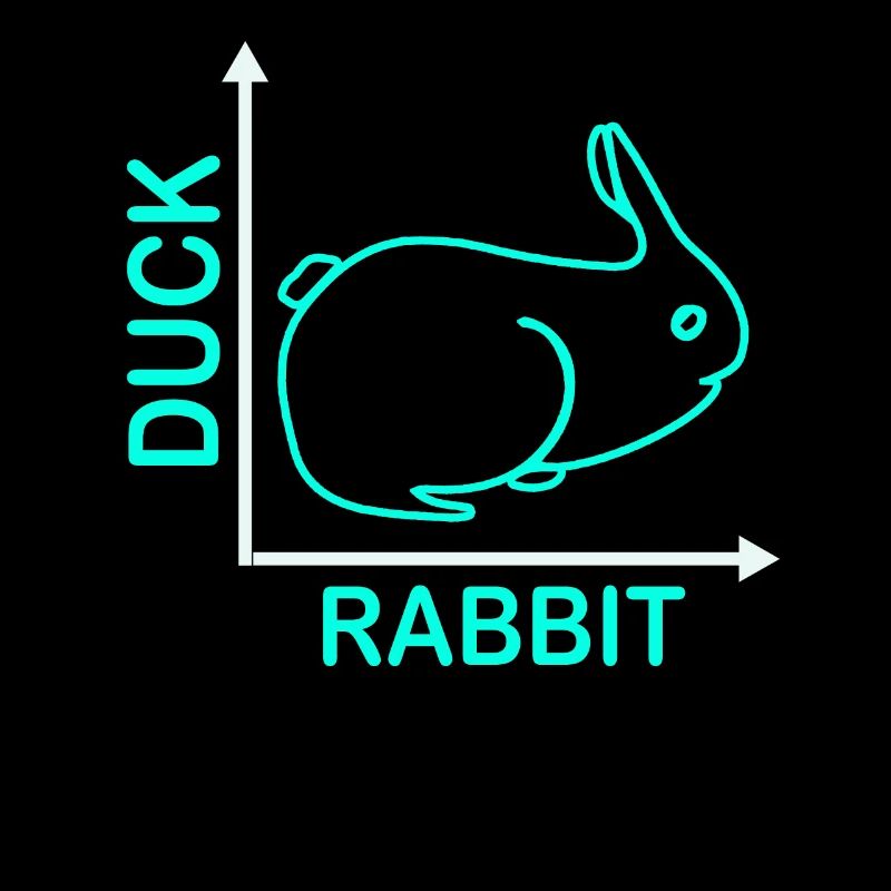 Wittgensteins Rabbit Duck Illusion