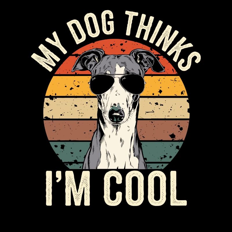 Windhund Mein Hund Denkt Das Ich Cool Bin