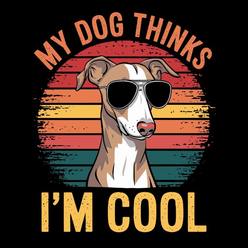Whippet Mon chien pense que je suis cool