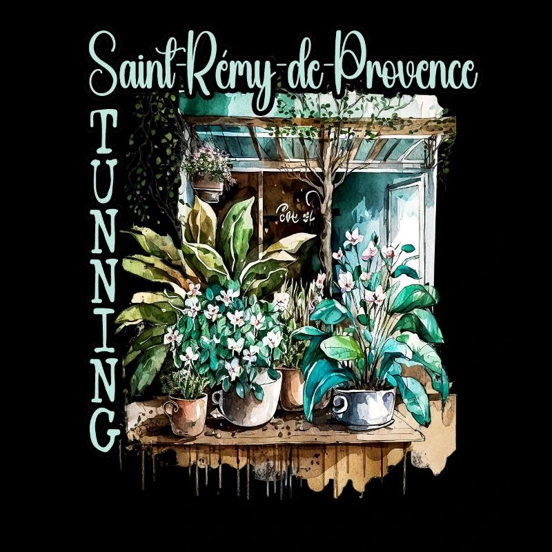Saint Rémy-de-Provence Atemberaubender Blumengarten