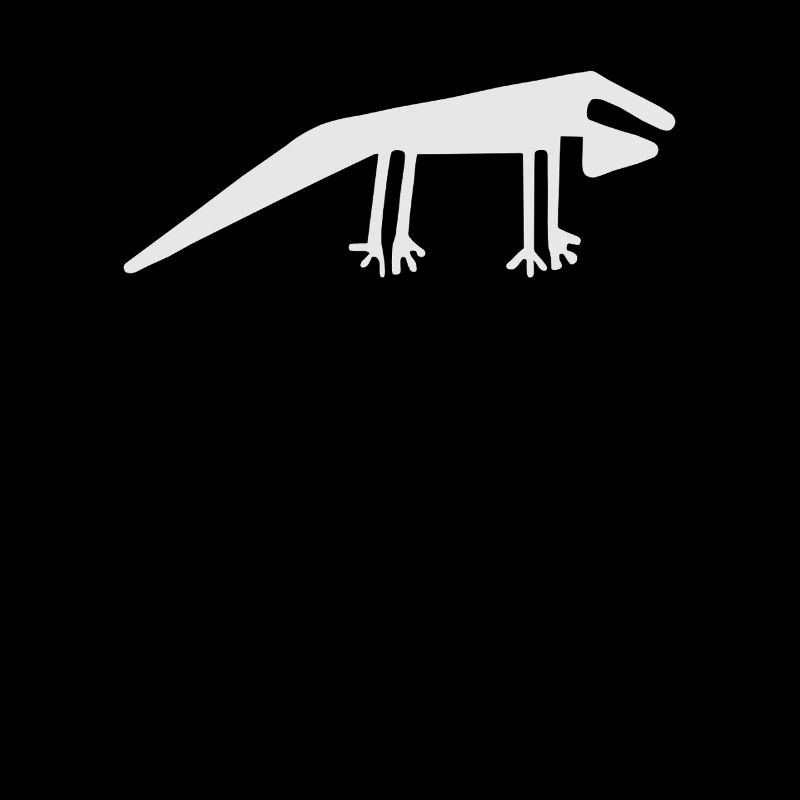 Lignes de Nazca | Pérou Geoglyphs Las Líneas De Nazca