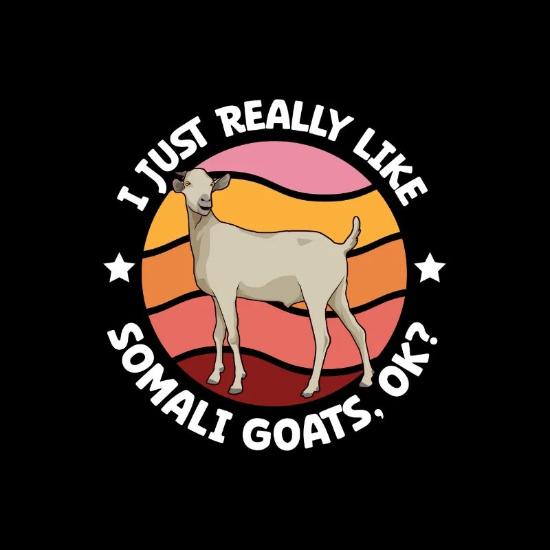 J’adore mes chevaux de gala