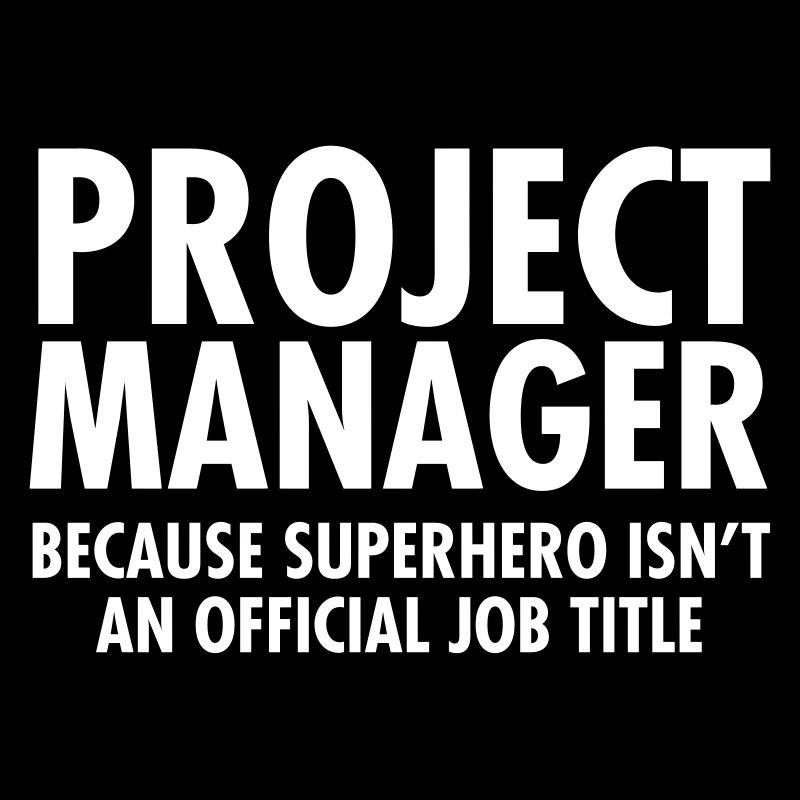 Project Manager - Superhero