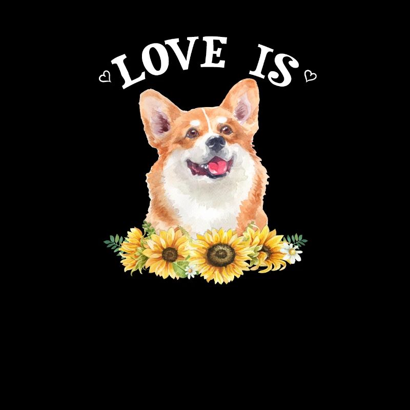 Corgi