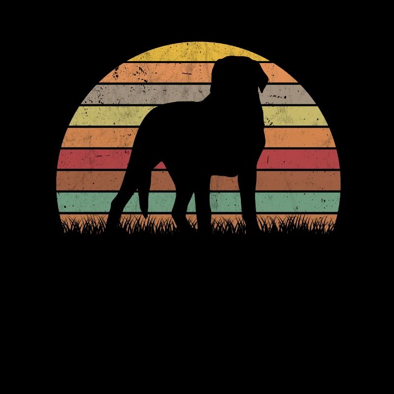 Großer Schweizer Sennenhund