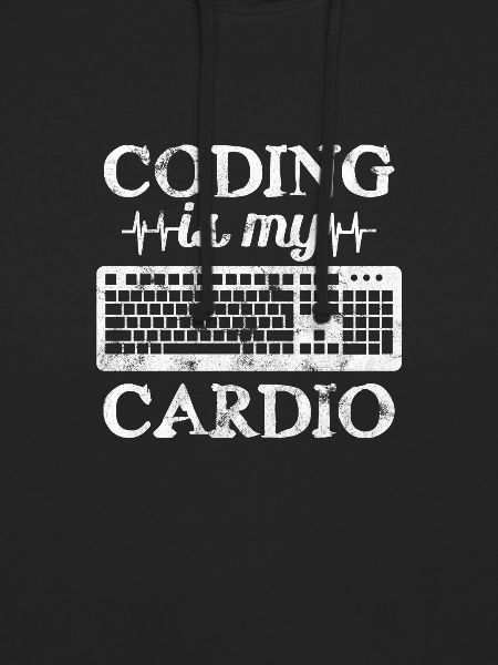 Software developer