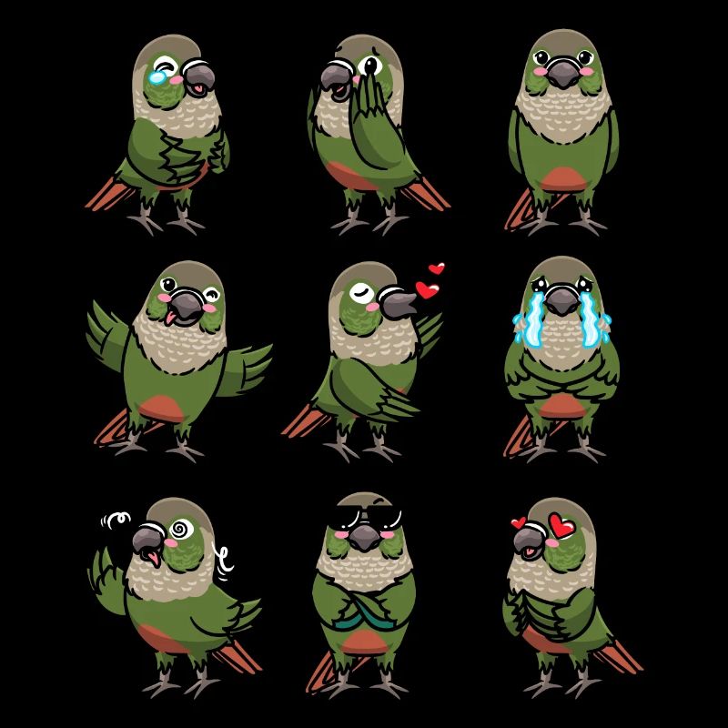 Molinasittich Sittich Papagei Vogel