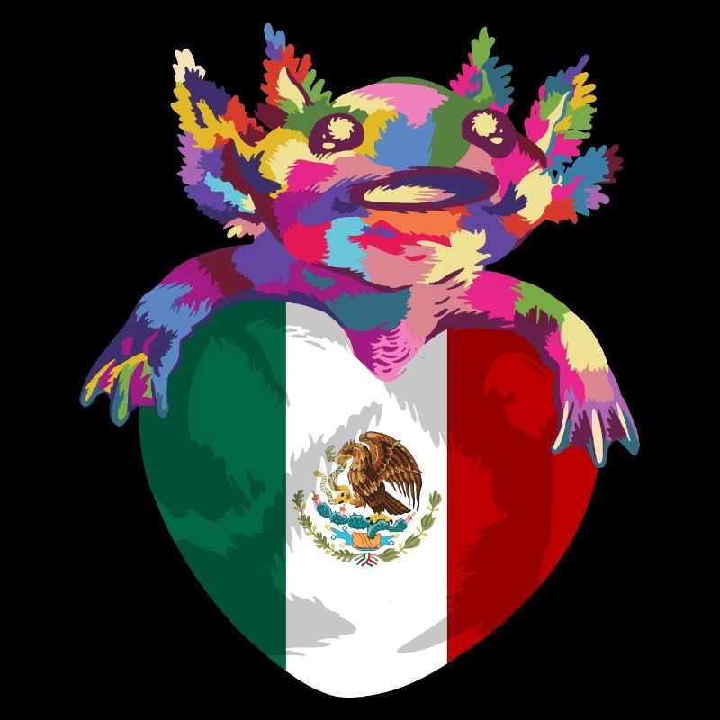 Mexique Drapeau Mexicain Drapeau Mexique Amérique du Sud