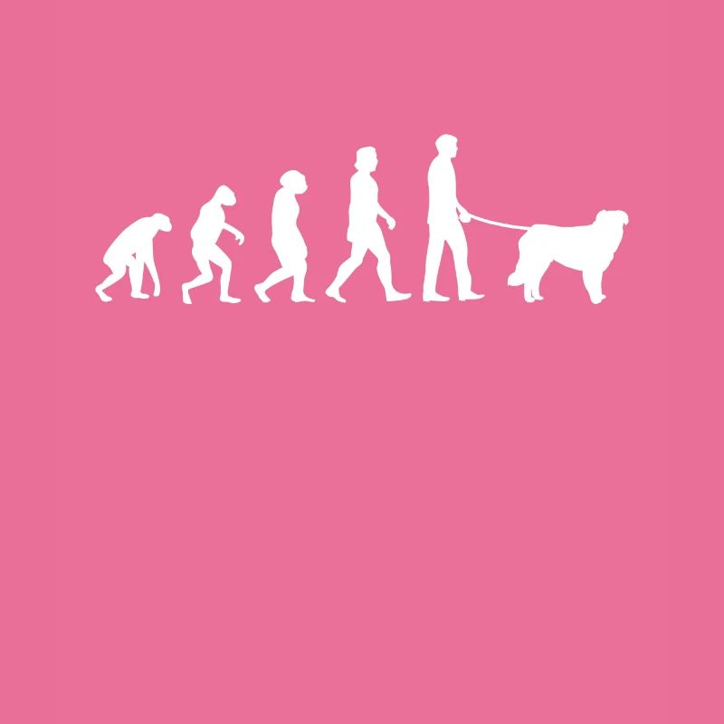 Évolution de Kuvasz