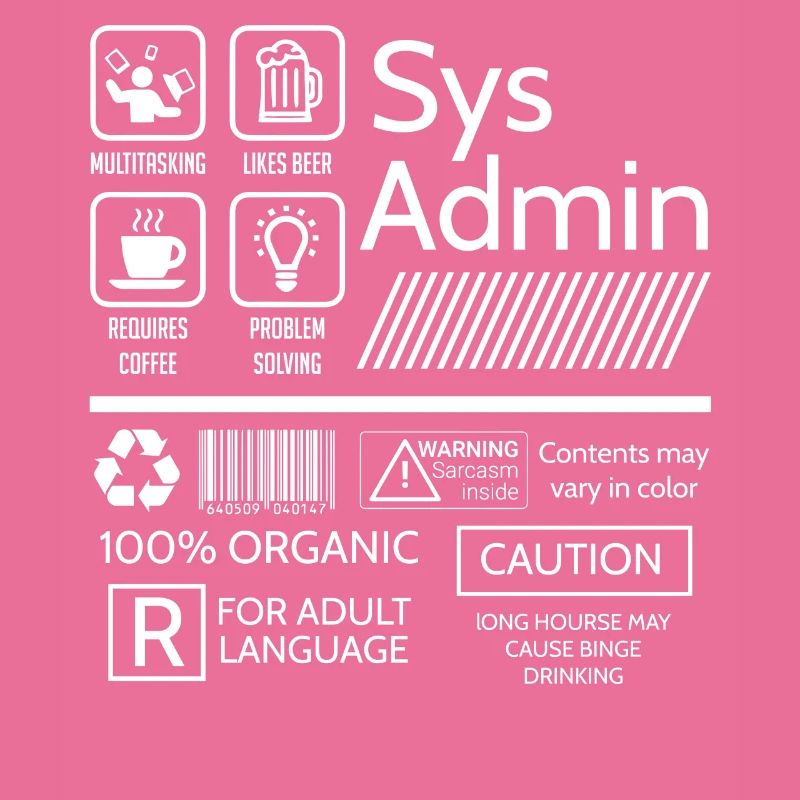 Administrateur système, Administrateur système