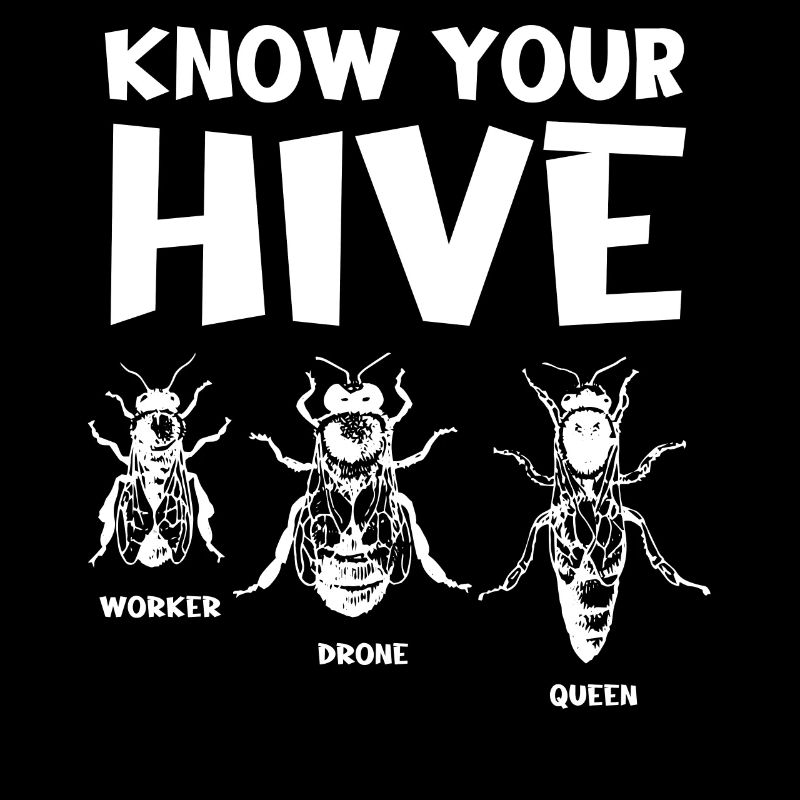 Know your hive, beekeeper, beekeeping