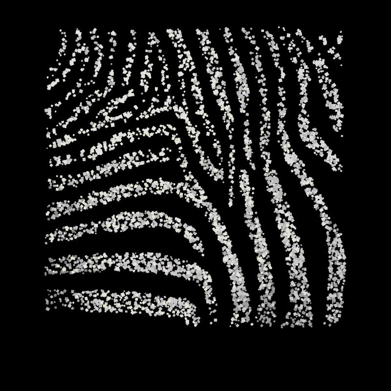 Zebra Zebra Crossing Pattern Costume Replacement Carnival