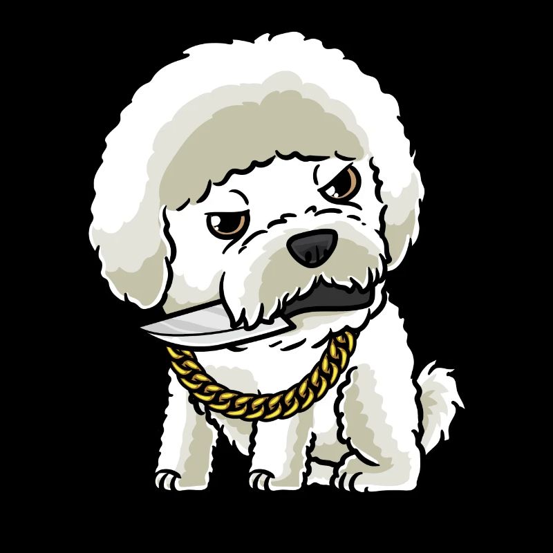 Bichon Frisé Hund Gelockter Bichon Mit Messer