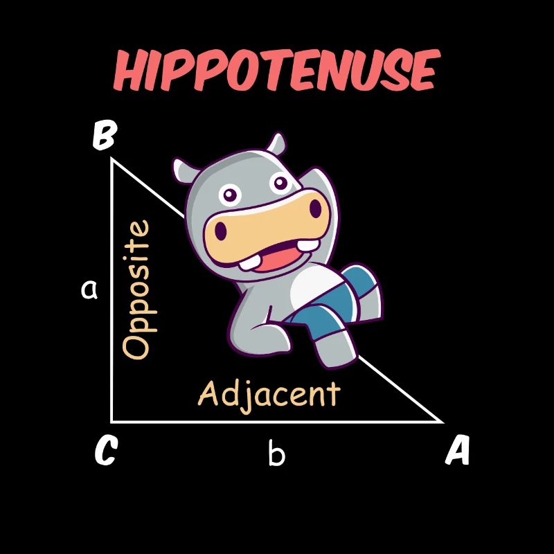 Drôle de mathématicien Design Hippotenuse