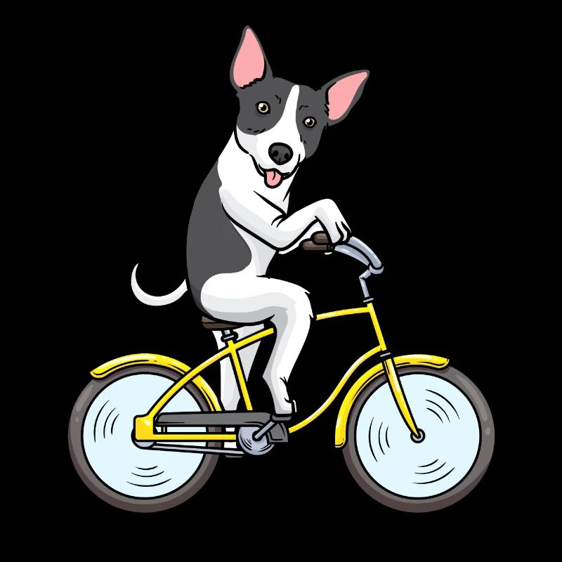 Rat Terrier Chien Vélo Cyclisme