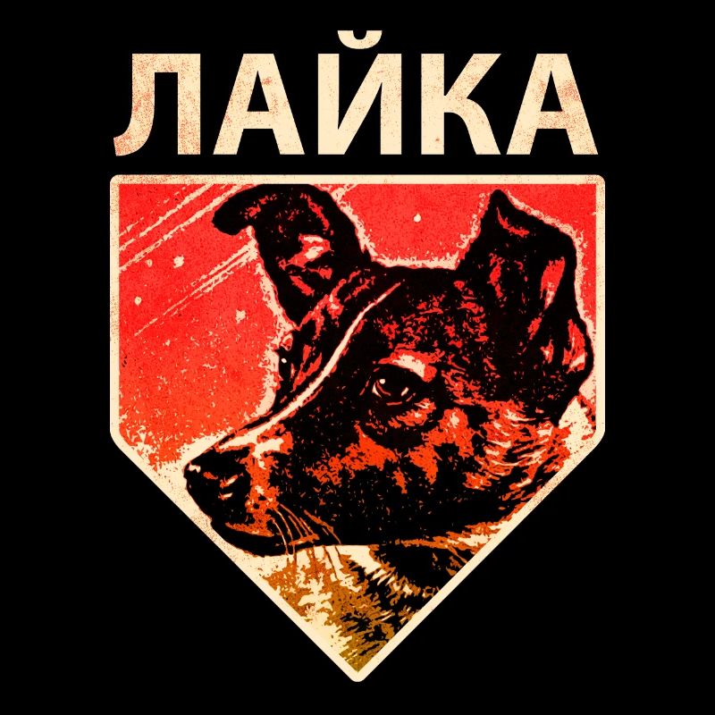 Laika - Chien de l’espace soviétique