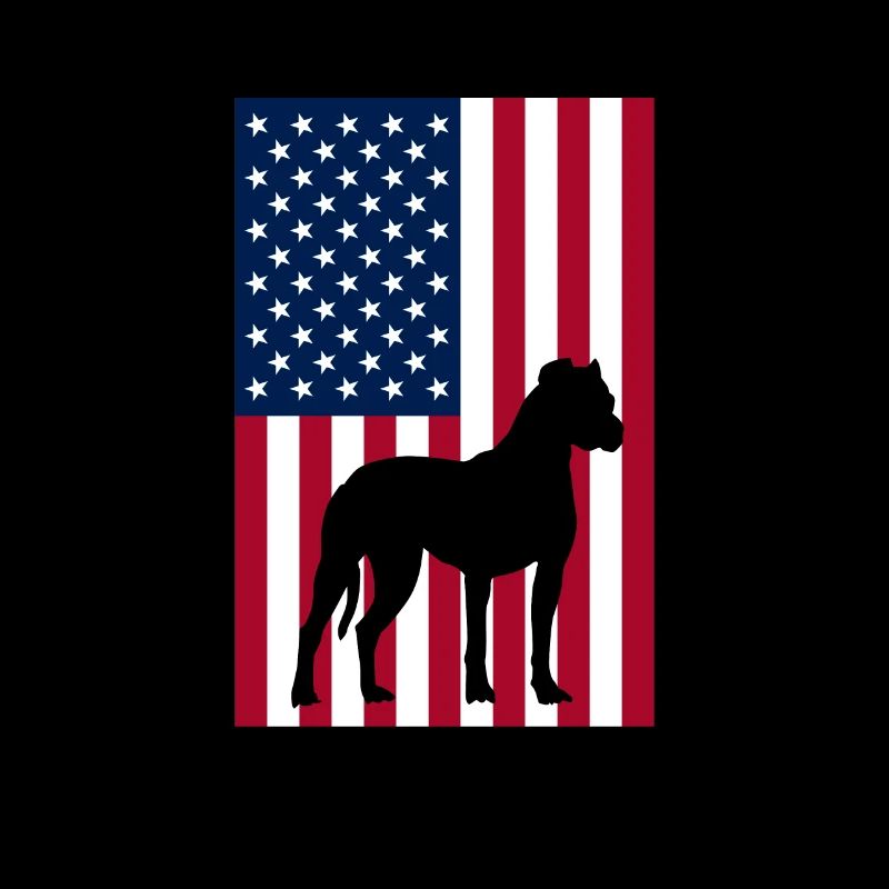 Boxer USA Hund Hunde Deutscher Boxer Geschenk