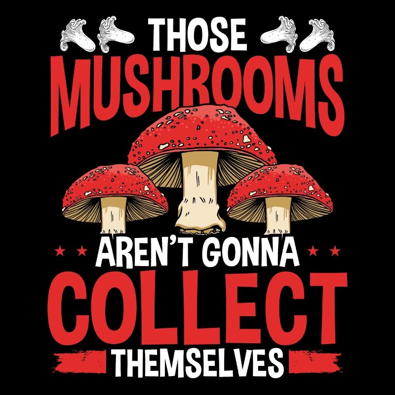 Les champignons se ramassent Collecte de champignons