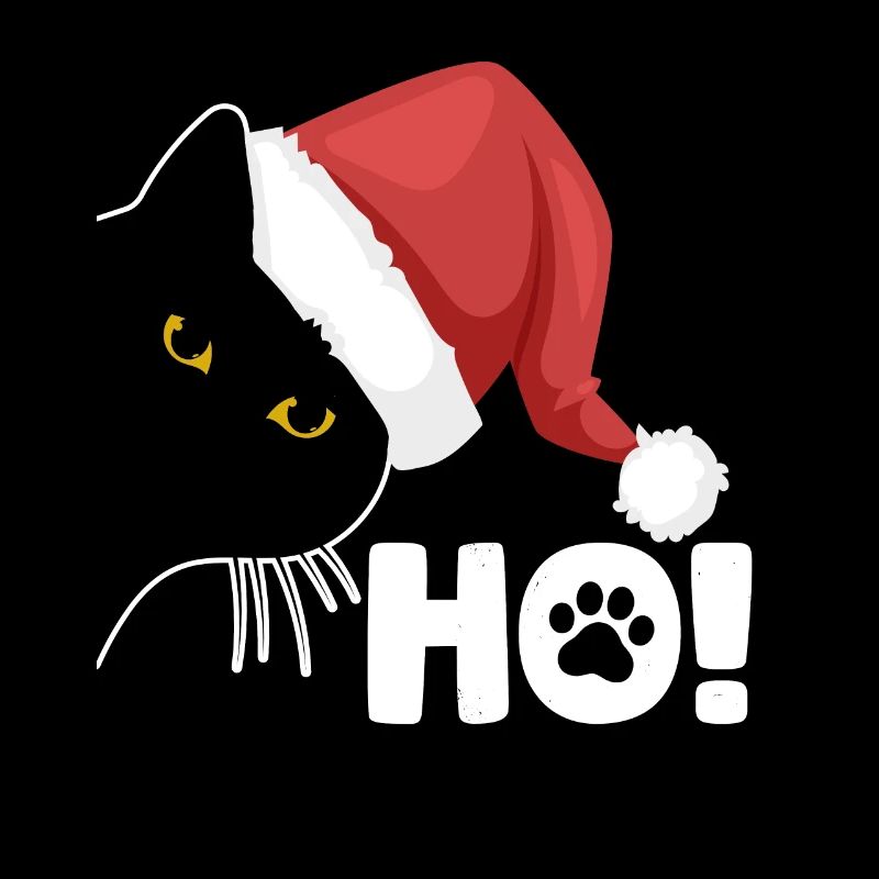 Noël Ho! Drôle de chat caché