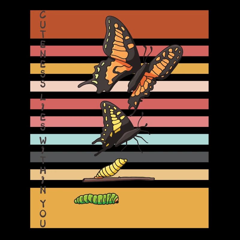 Cute Butterfly Evolution Butterflies