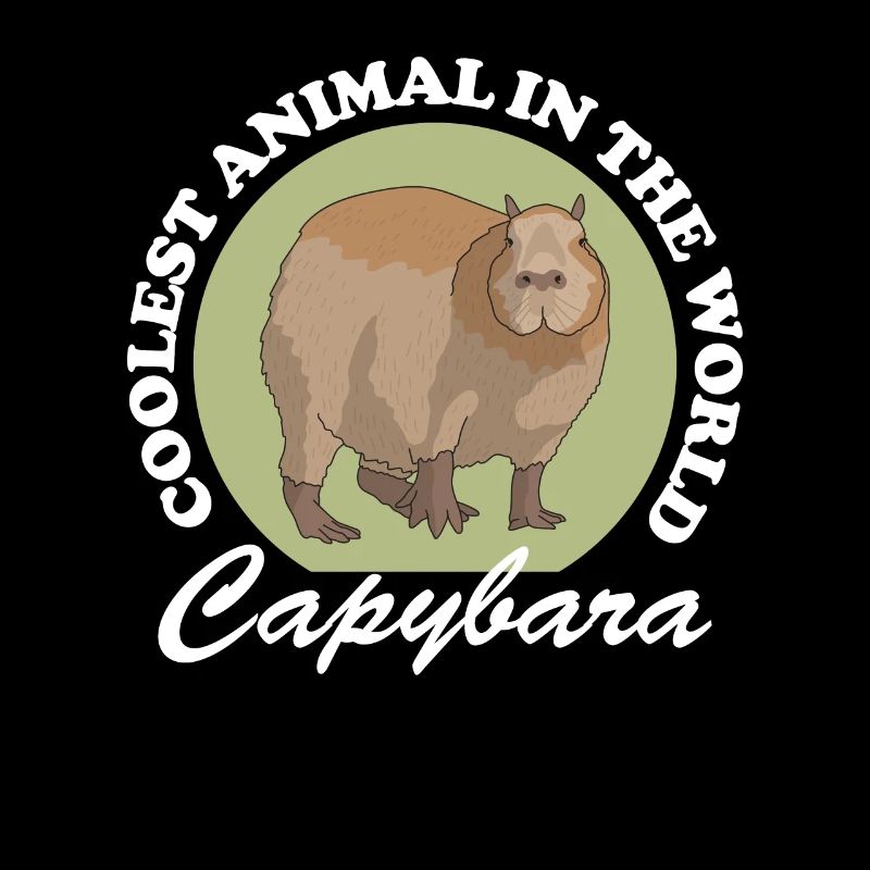 Capybara capybaras Capybaras gift