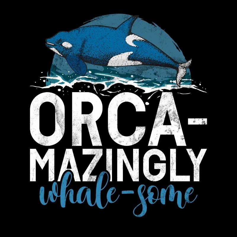 Killerwal Schwertwal Wale beobachten Orca Wal