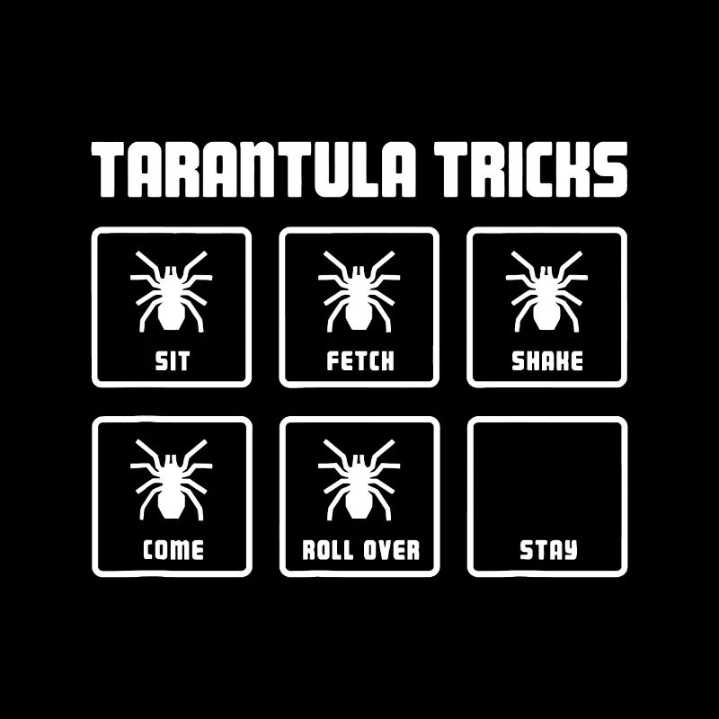 Pet Tarantula idea / Araignée Arachnide Arthropode - F