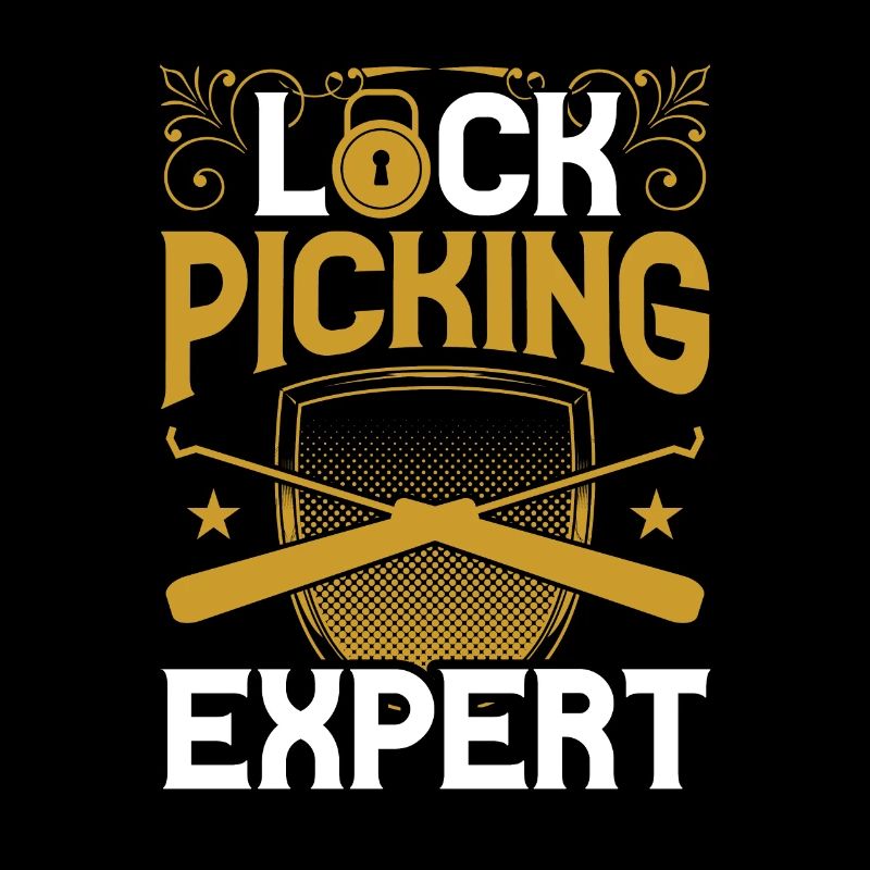 Lockpicking Expert Lock Lock Picking Cracking