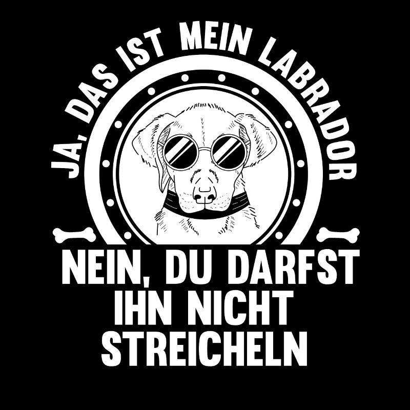 Hund Labrador