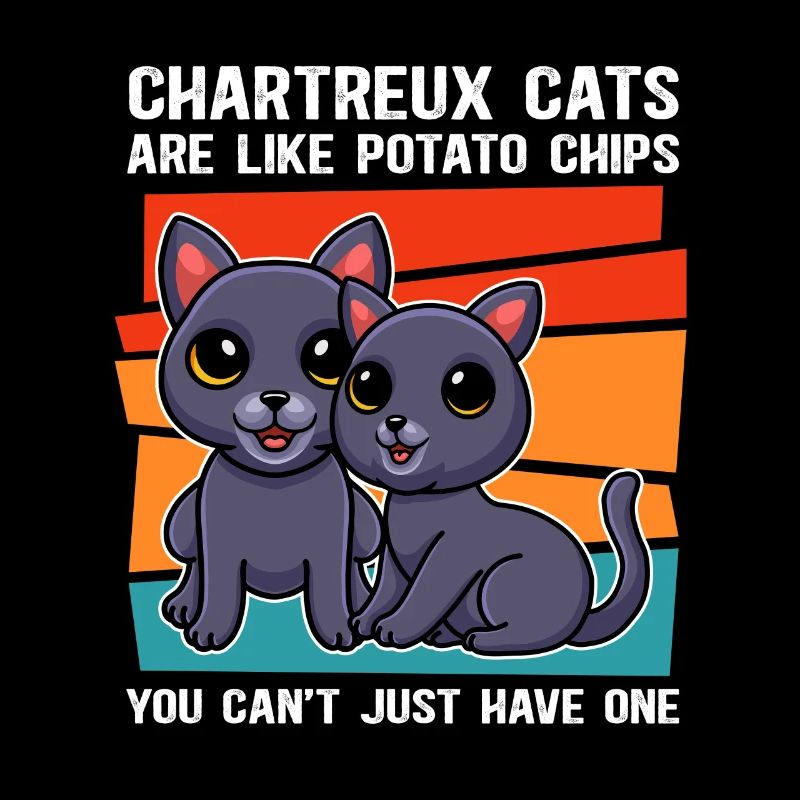 Chartreux Chartreux Chartreux Chat Propriétaire Cadeau