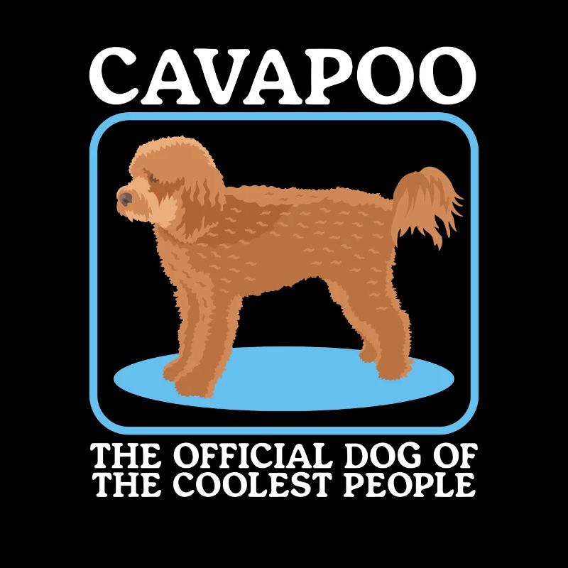 Cavapoo Dog Cavoodle Dog Owner Cadeau