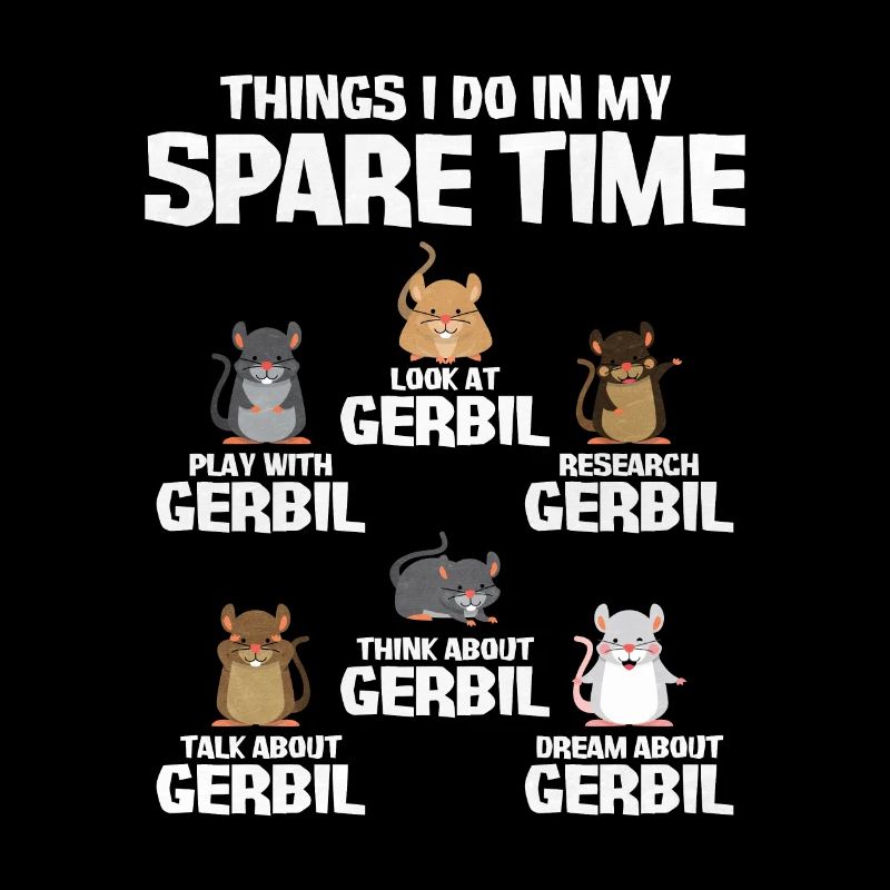 Gerbille Souris Cadeau
