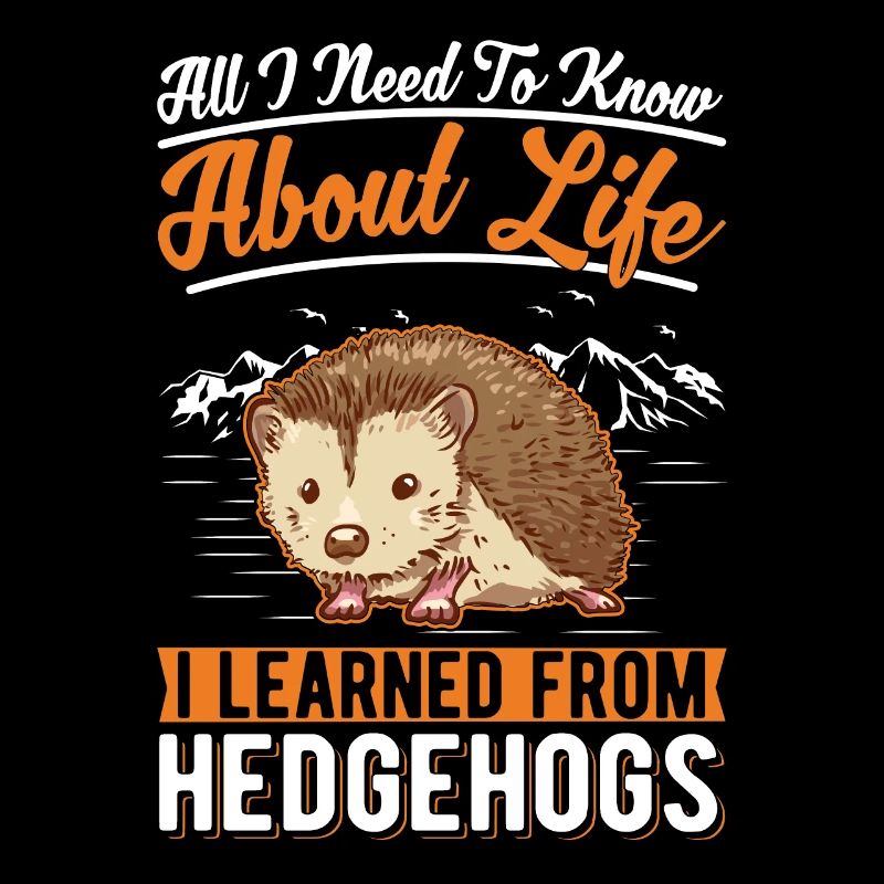 Hedgehog Gift Spiny Hedgehog