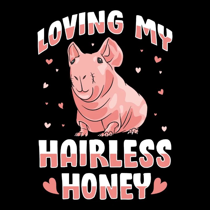 Cochon d’Inde sans poils Cochon maigre