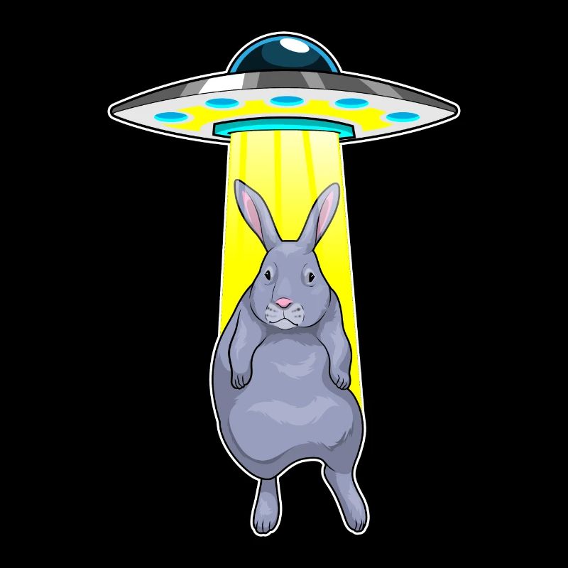 Rabbit Spaceship Space