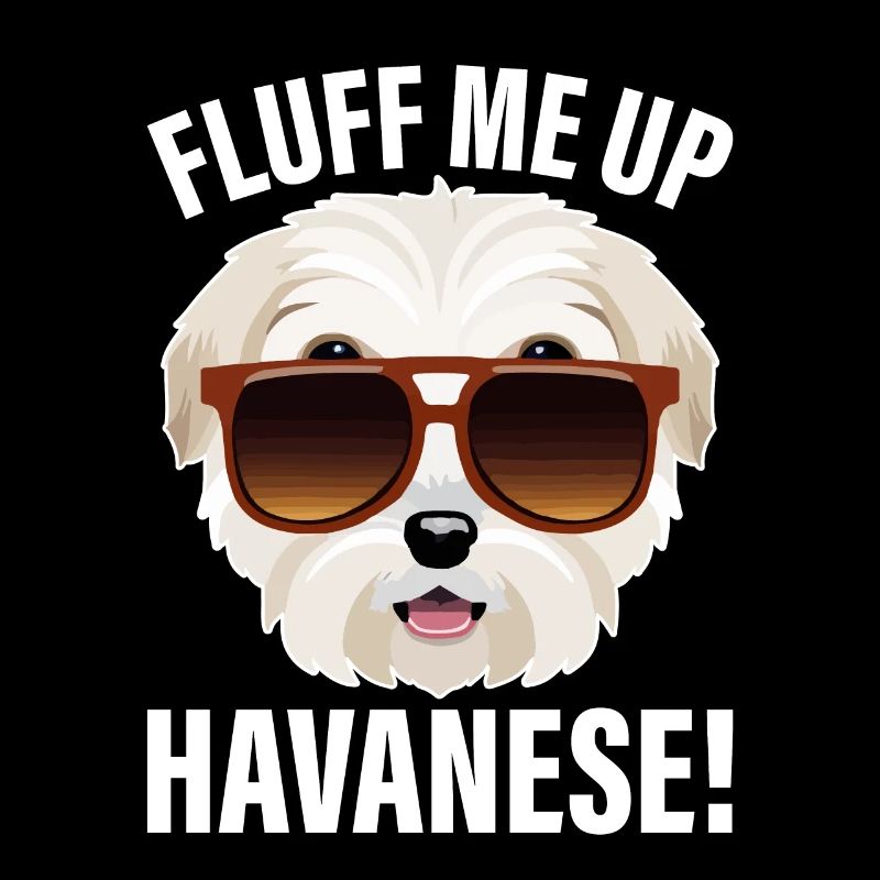 Gonflez-moi le bichon havanais