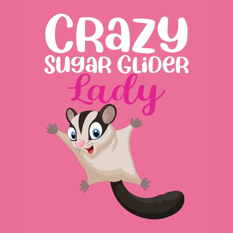 Sugar Glider Flughörnchen