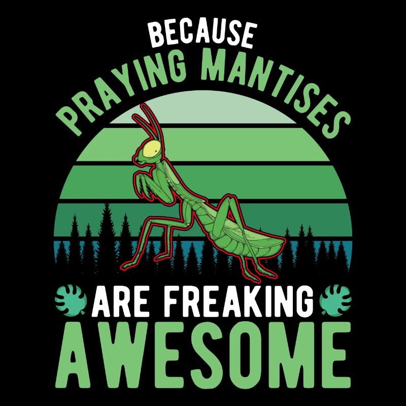 Praying Mantis Mantis Mantis