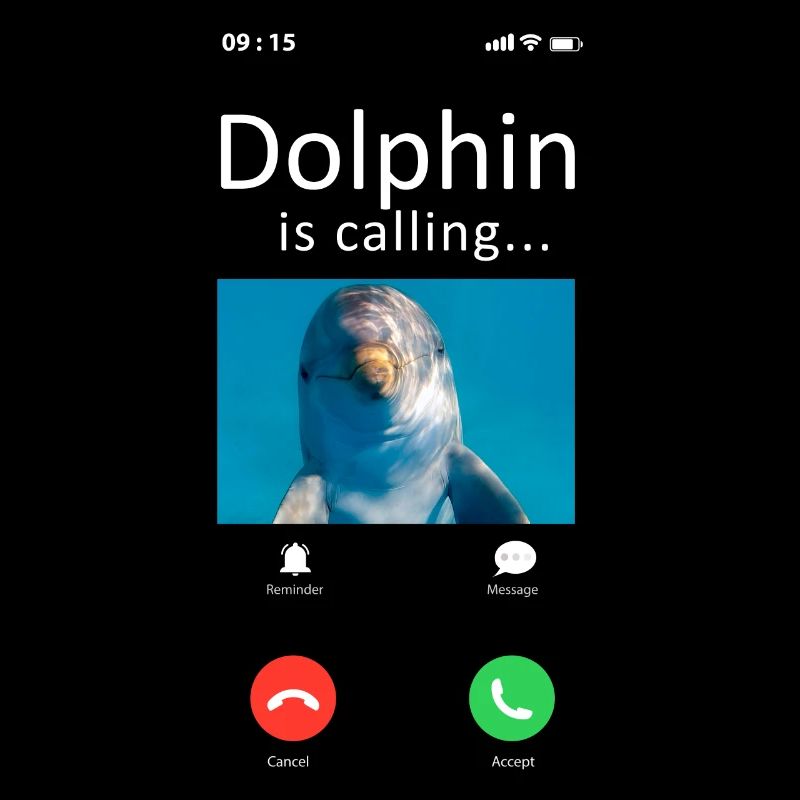 Dolphin Phone Display Dolphin Is