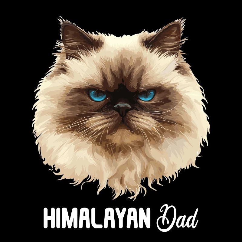 Chat de l’Himalaya Colourpoint Katze